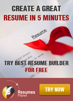 Best cv writing services wellington
